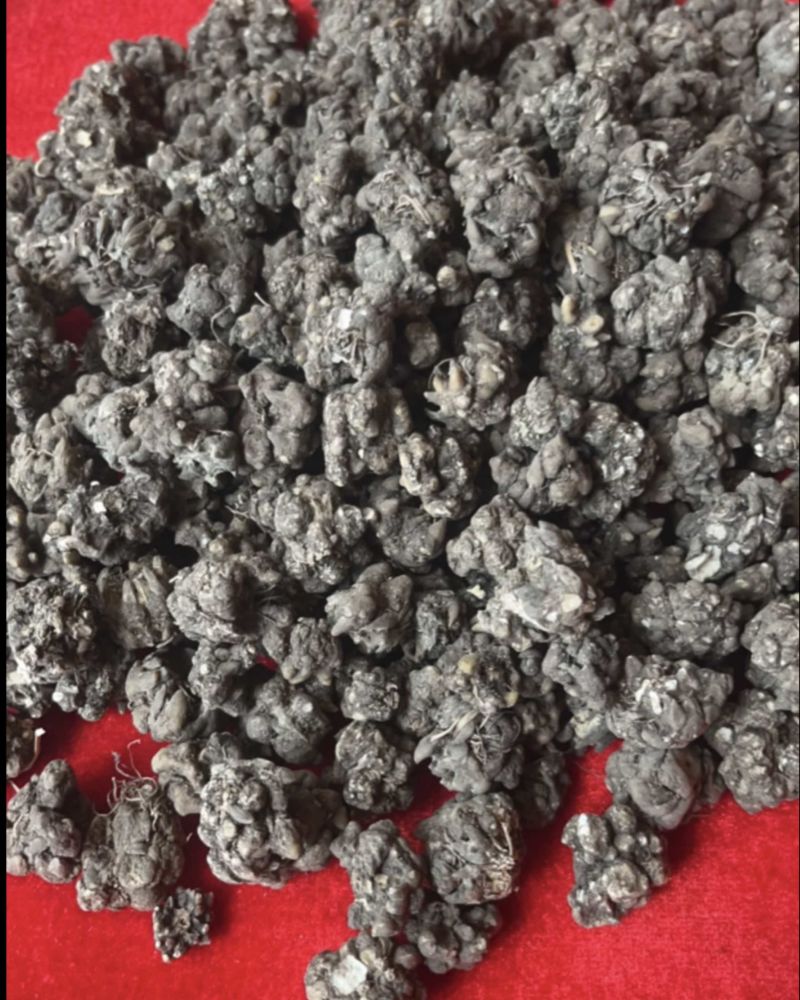 猫爪草水洗两遍五斤起售