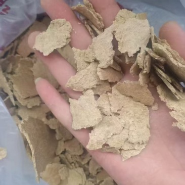 大豆饼
