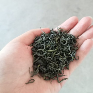 高山绿茶