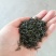 高山绿茶
