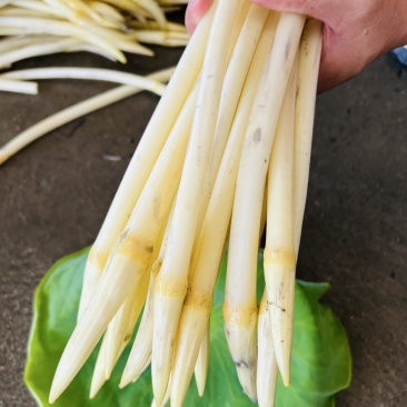 洪湖新鲜藕带
