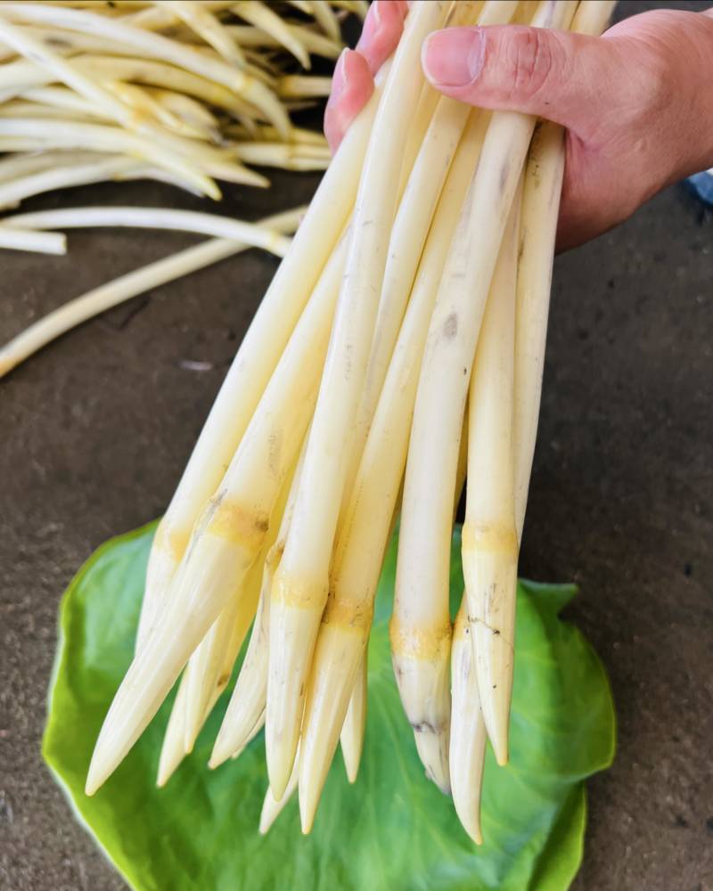 洪湖新鲜藕带
