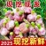 山东大蒜今年鲜货