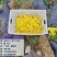 广元市昭化区王家镇文星村金丝皇菊
