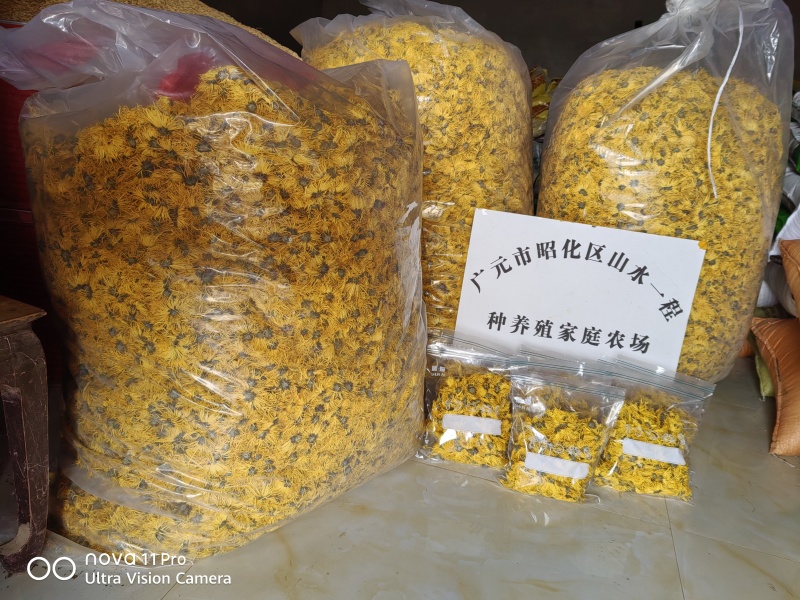广元市昭化区王家镇文星村金丝皇菊