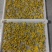 广元市昭化区王家镇文星村金丝皇菊