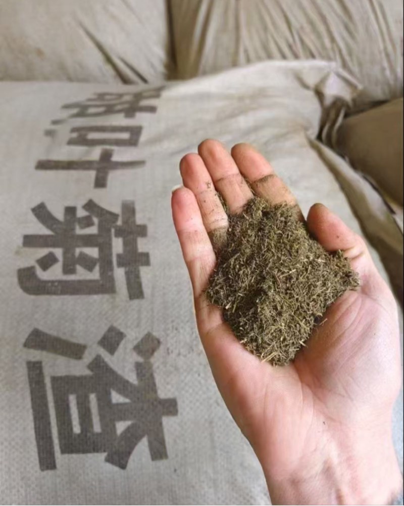 #甜叶菊渣