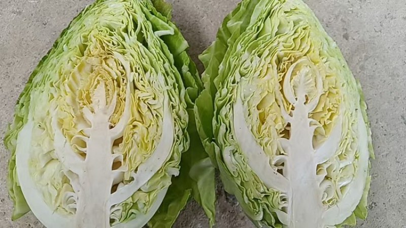 莲花白