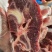 满肉满肉牛脖骨切片