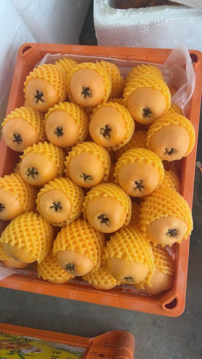 精品五星枇粑