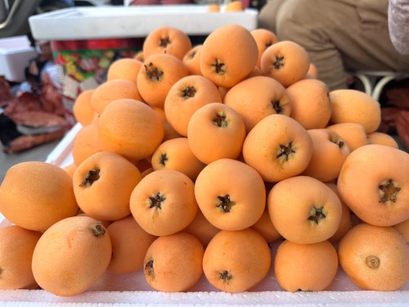 精品五星枇粑