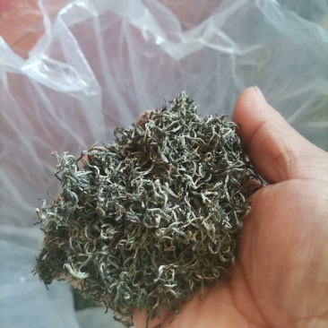 原生态高山绿茶