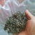 原生态高山绿茶