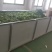 原生态高山绿茶
