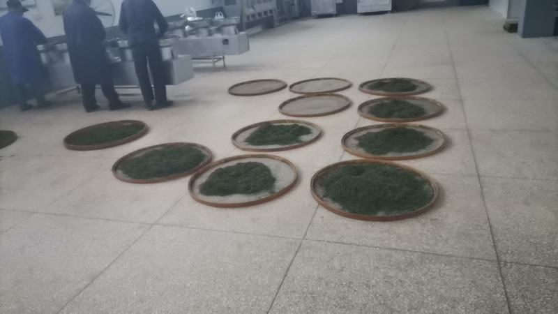 原生态高山绿茶