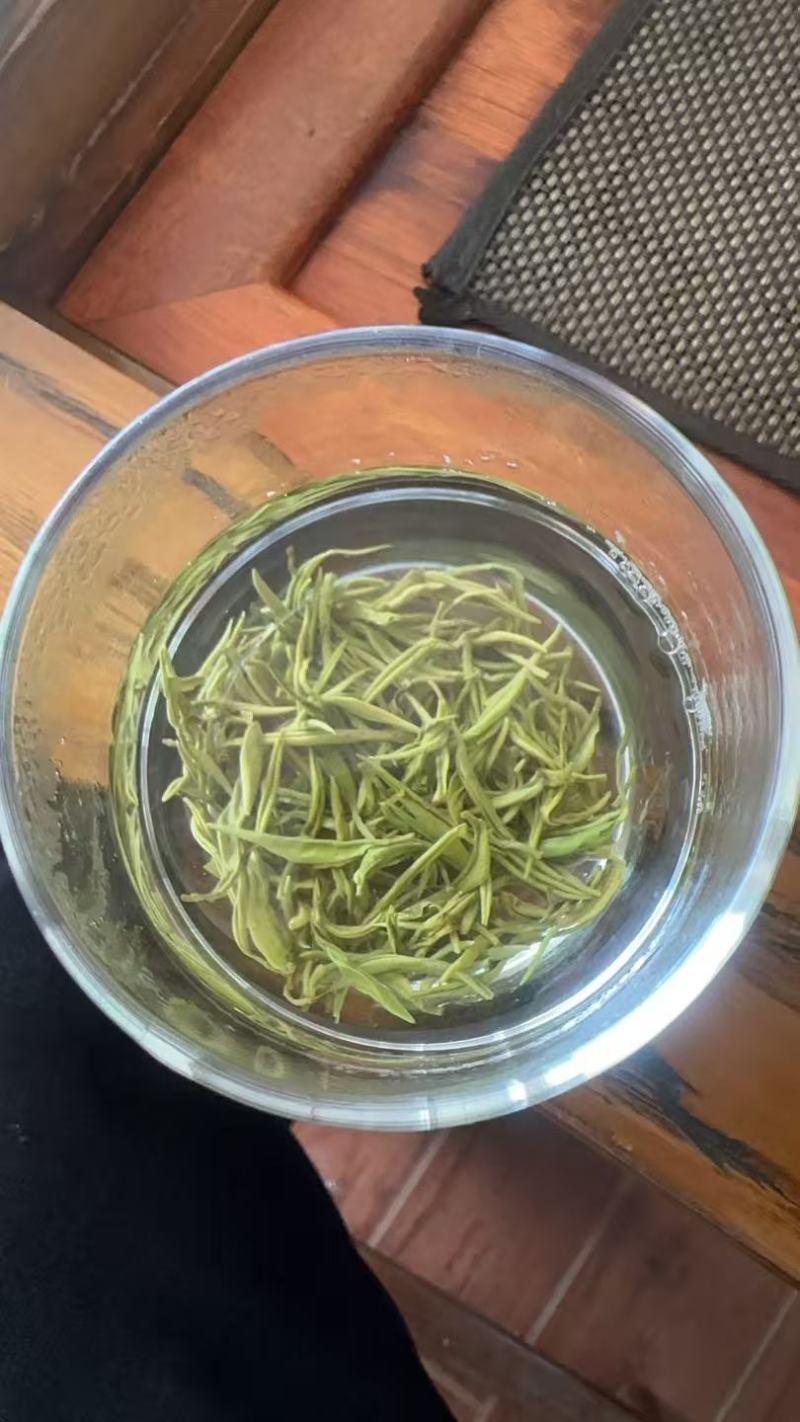 原生态高山绿茶