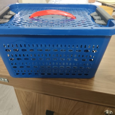 卖杨梅框手提兰