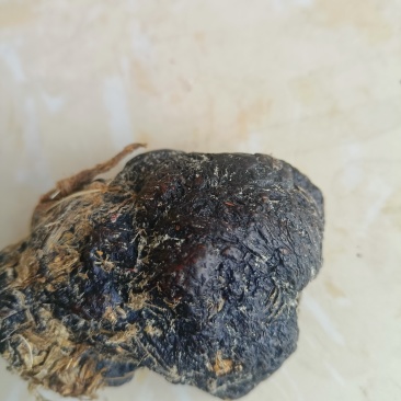 羊结石81克整体出售，非诚勿扰。