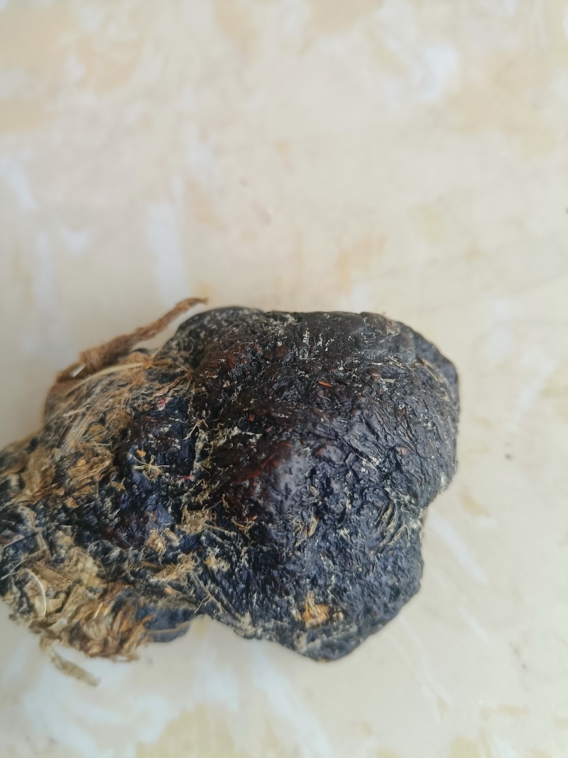 羊结石81克整体出售，非诚勿扰。