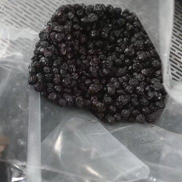 中大果原味蓝莓干无糖无油。整吨批发。货源稳定。