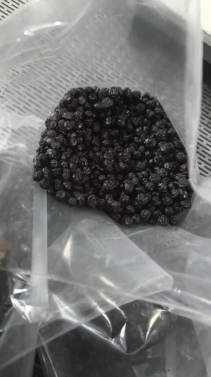 中大果原味蓝莓干无糖无油。整吨批发。货源稳定。
