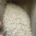 大量24年晚稻马坝油毡货在惠州博罗，小颗粒有油性