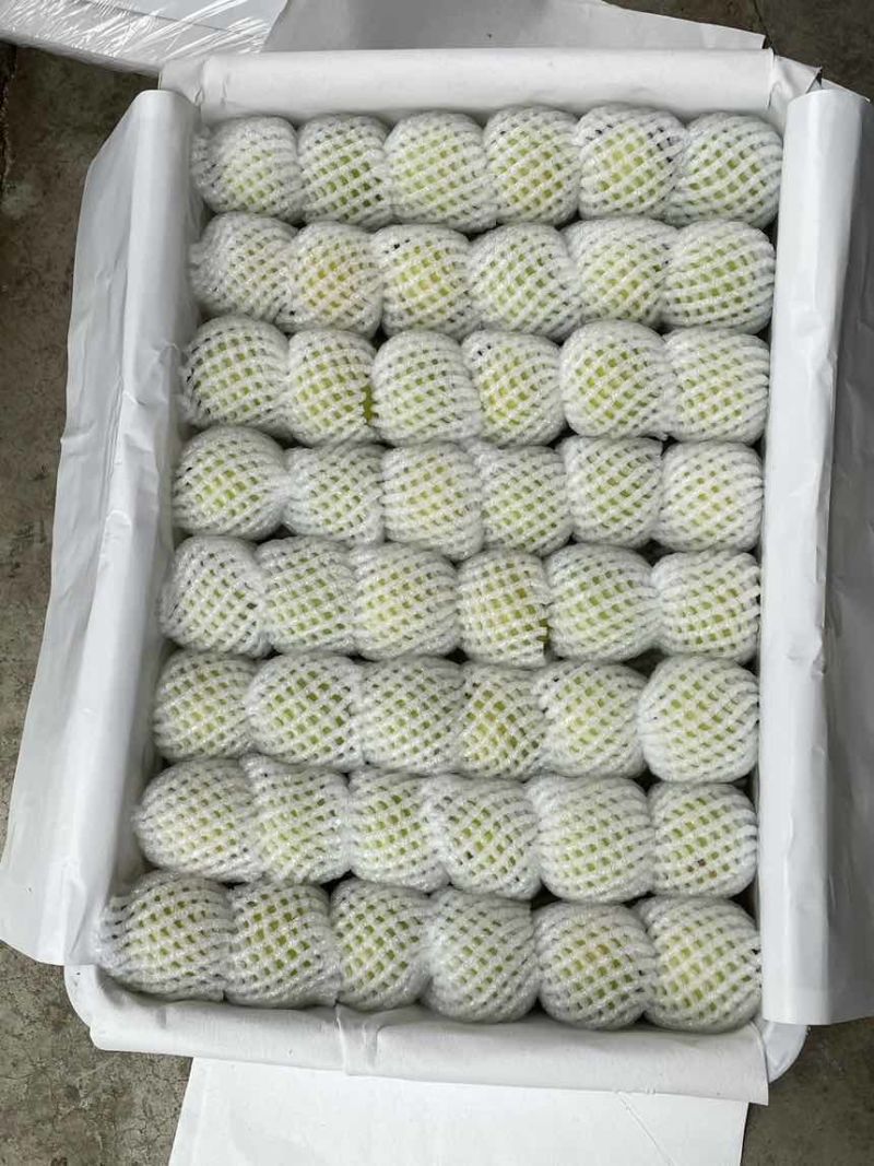桃花李个大味甜、多汁、耐放、耐运输。支持各大平台