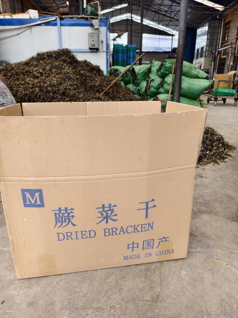 干厥菜，龙爪菜