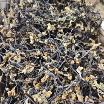 干厥菜，龙爪菜