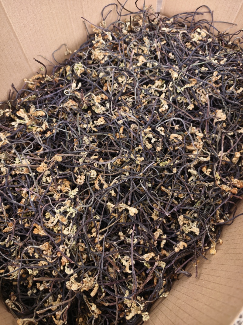 干厥菜，龙爪菜