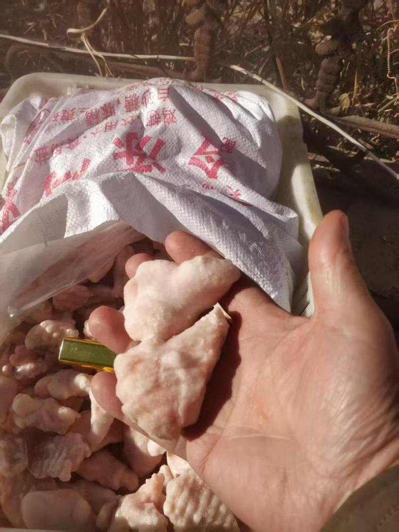 鸡翅根b根现货肉质饱满两种现货几吨明码实价出售！