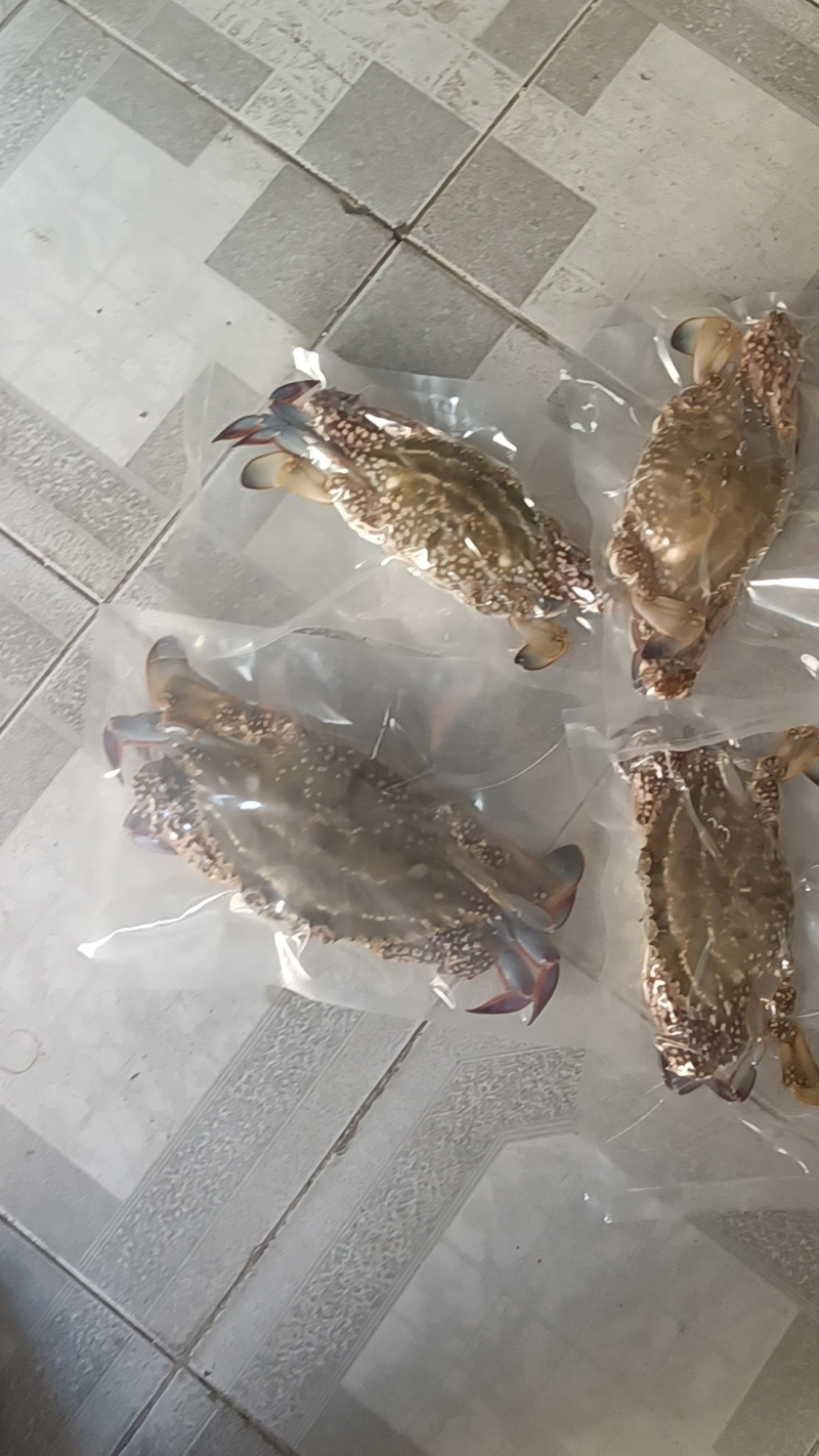 海鲜，海产品干货