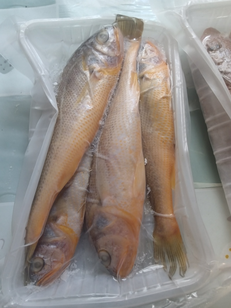 海鲜，海产品干货