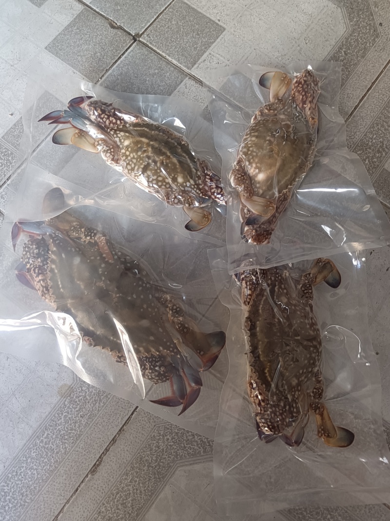 海鲜，海产品干货