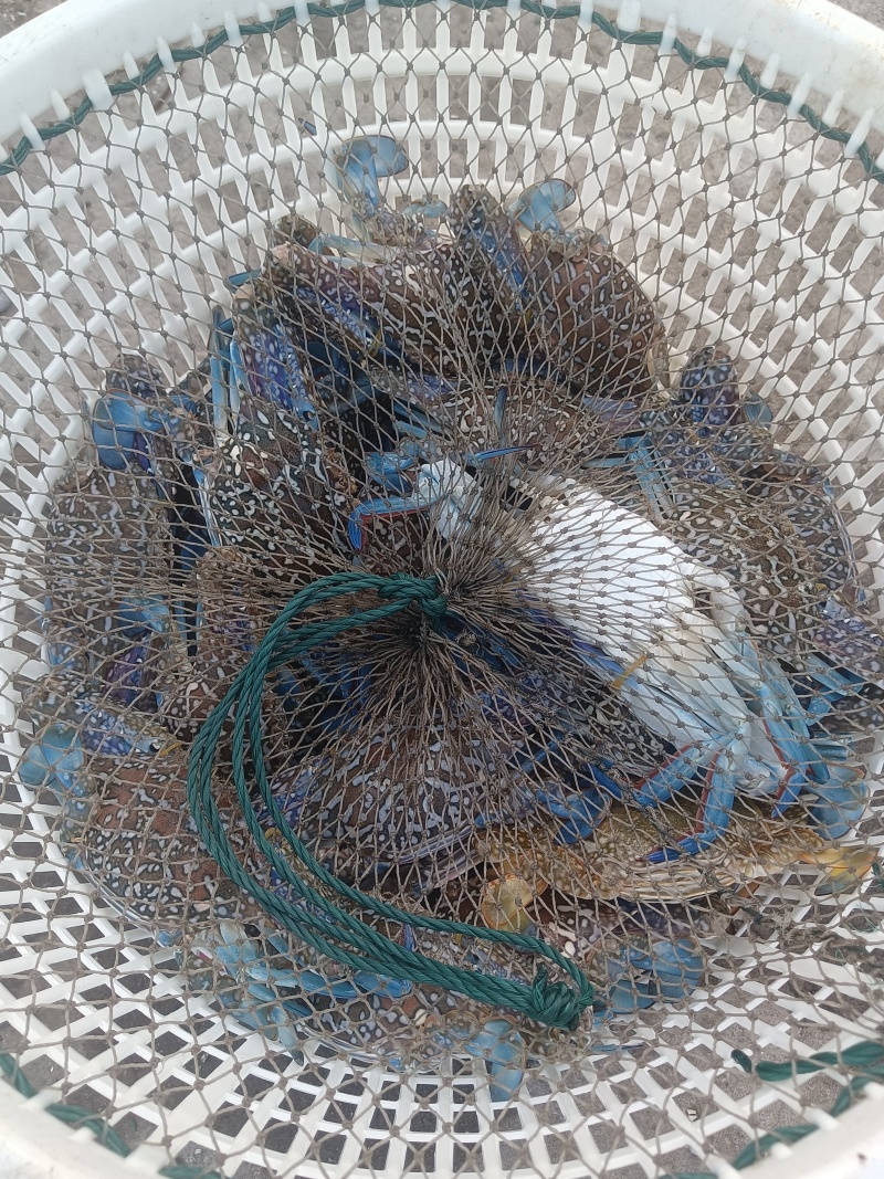 海鲜，海产品干货
