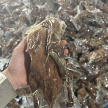 北京风味烤鸭
