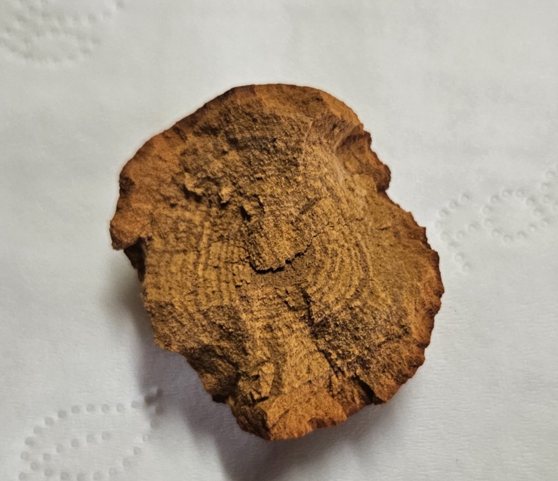 天然牛黄