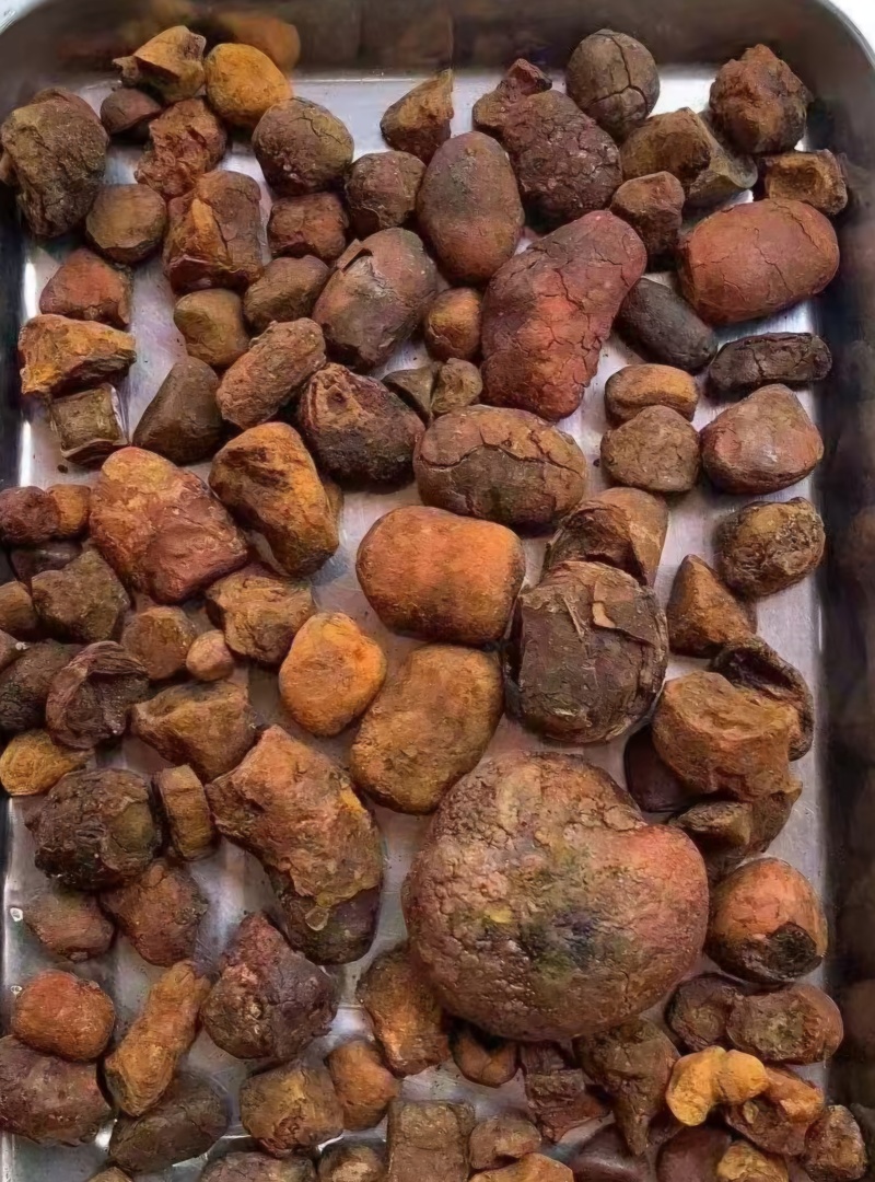 天然牛黄