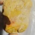 鸡宝