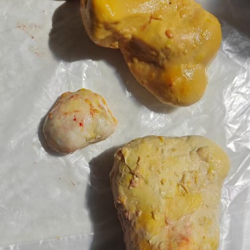 鸡宝