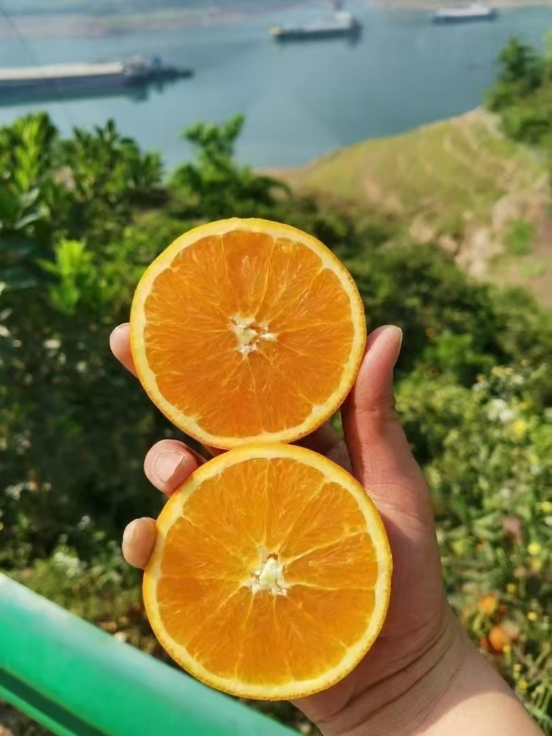 秭归伦晚脐橙秭归脐橙产地直发新鲜橙子水果橙九分酸一分甜
