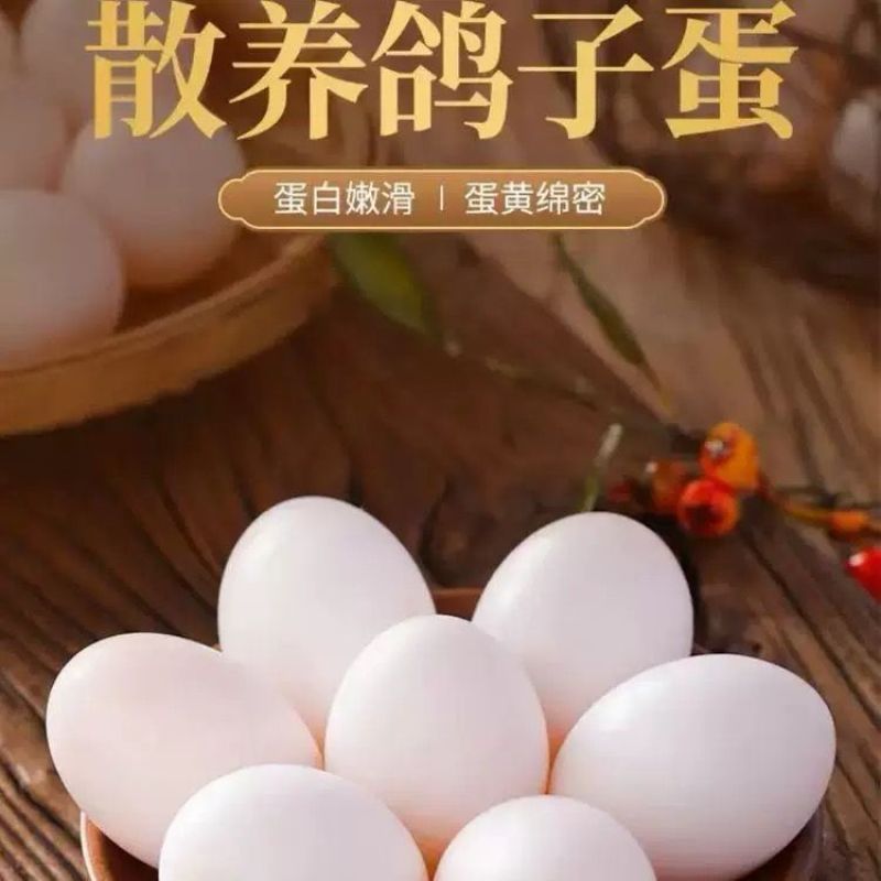 正宗新鲜鸽子鸽蛋农家五谷杂粮散养鸽子蛋批发