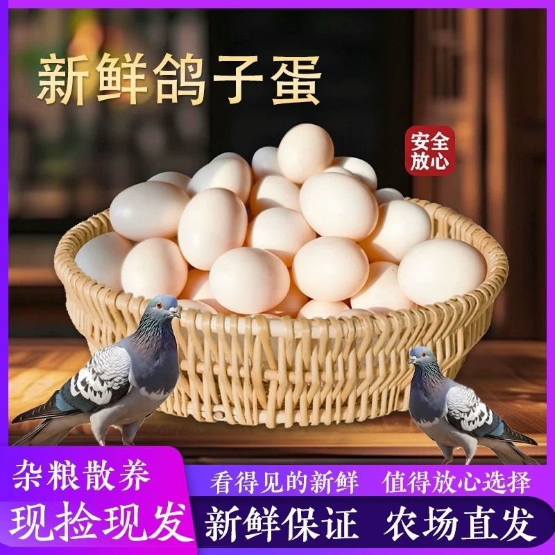 正宗新鲜鸽子鸽蛋农家五谷杂粮散养鸽子蛋批发