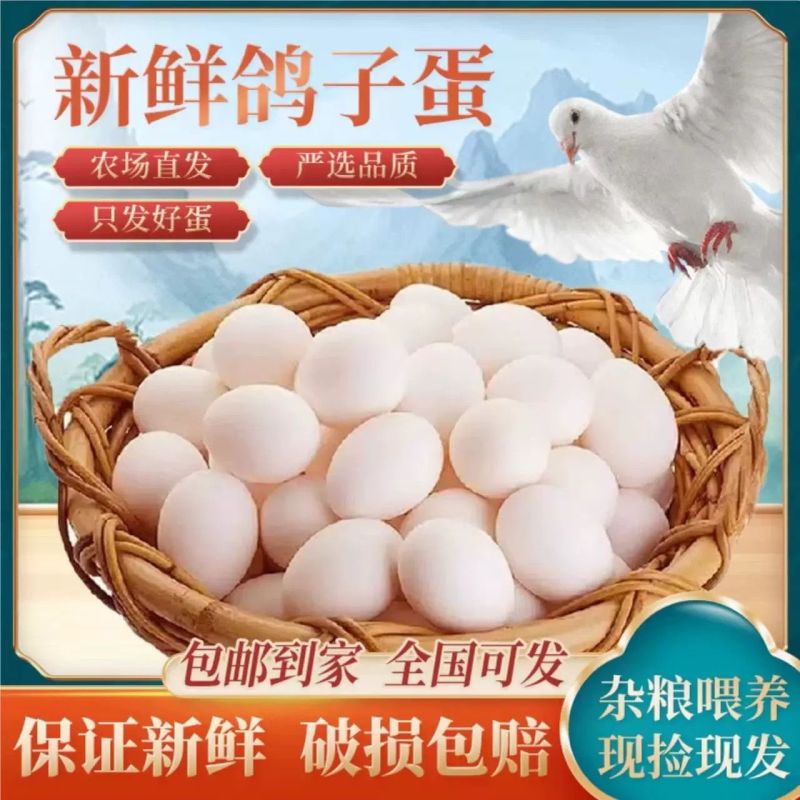 正宗新鲜鸽子鸽蛋农家五谷杂粮散养鸽子蛋批发