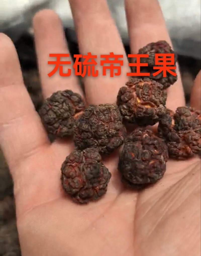 帝王果（柘果）纯自然晒干，无硫帝王果