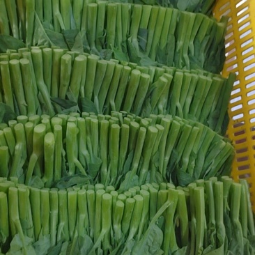 蔬菜