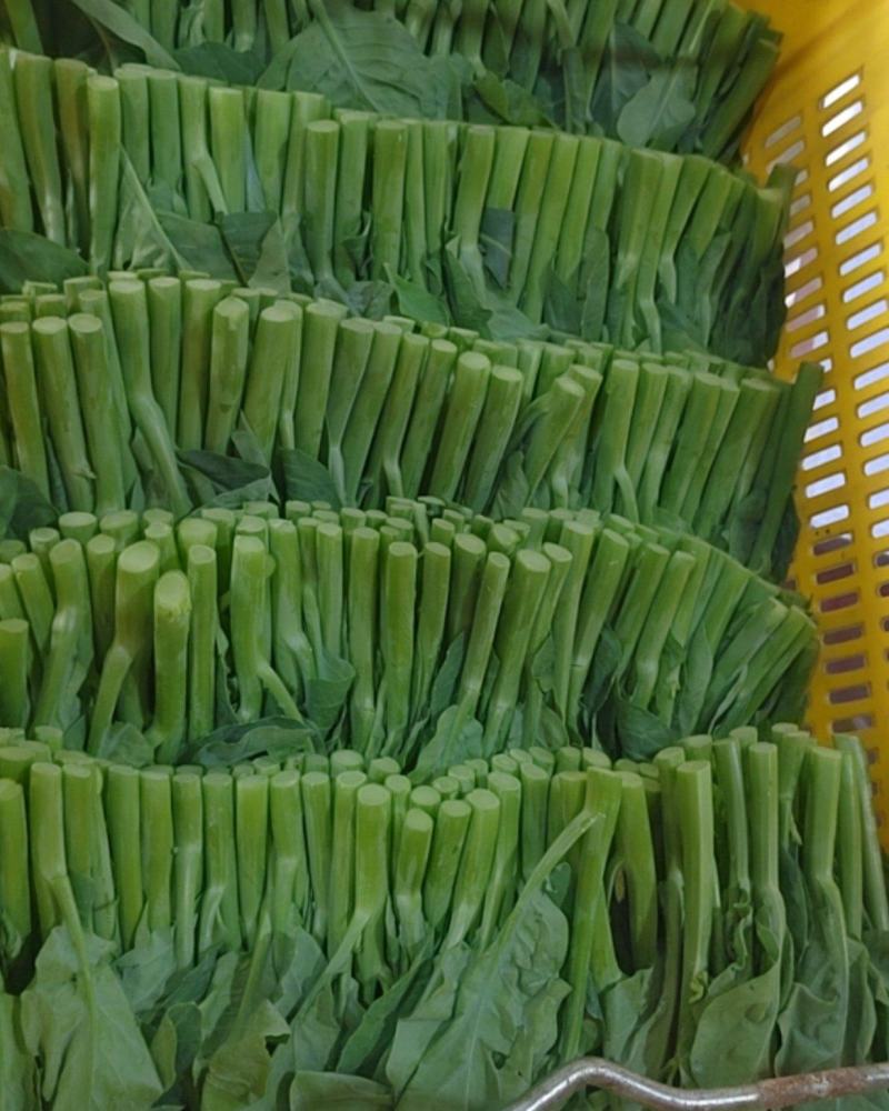 蔬菜
