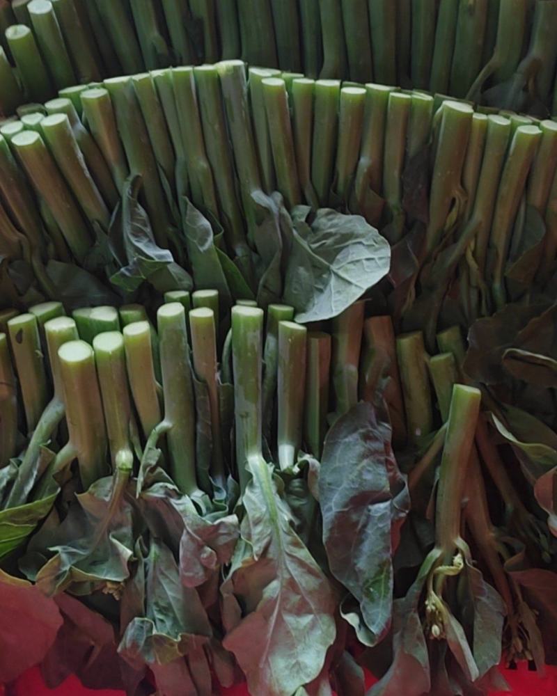蔬菜