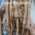 马刺根