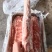 温州精品公猪肉后腿肉：2万2，一顿。净重25kg一包。